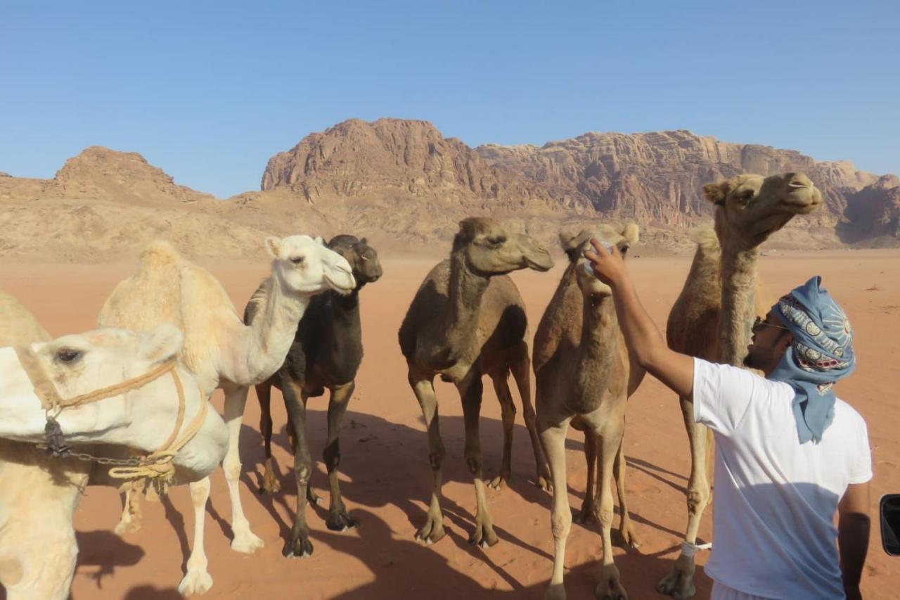 Wadirum Sunset Camp Hotel Wadi Rum Exterior photo